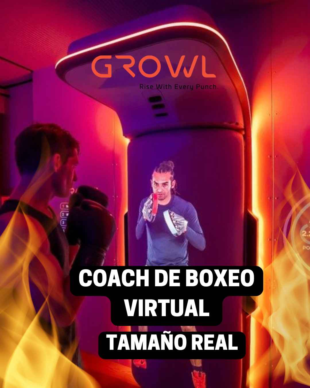 Growl virtual boxing
