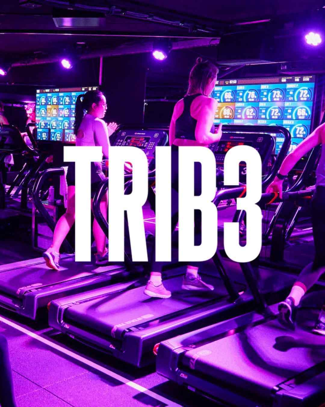 TRIB3 CHAMBERÍ